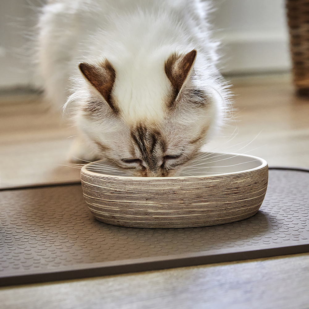 Katze, Katzenschale, Katzenfutter-Schale, Tiernapf, Keramikschale