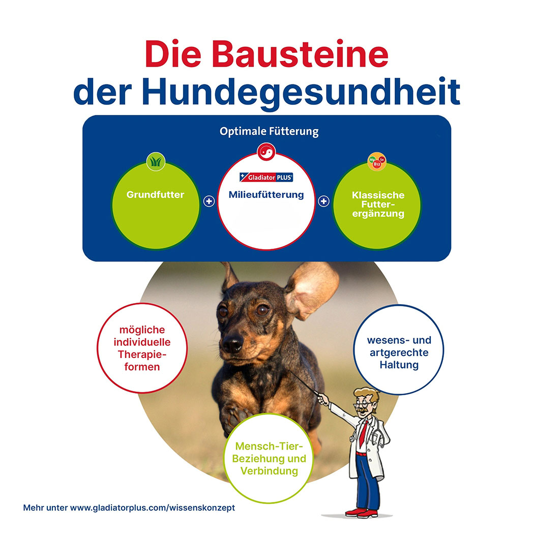 Hund, Hundegesundheit, Tiernahrung, Fütterungskonzept, Milieu-Fütterung