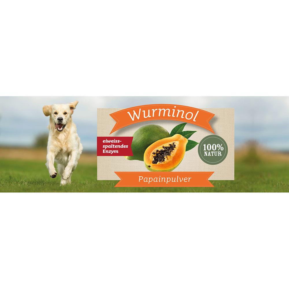 Essen, Obst, Produzieren, Hund, Haustier