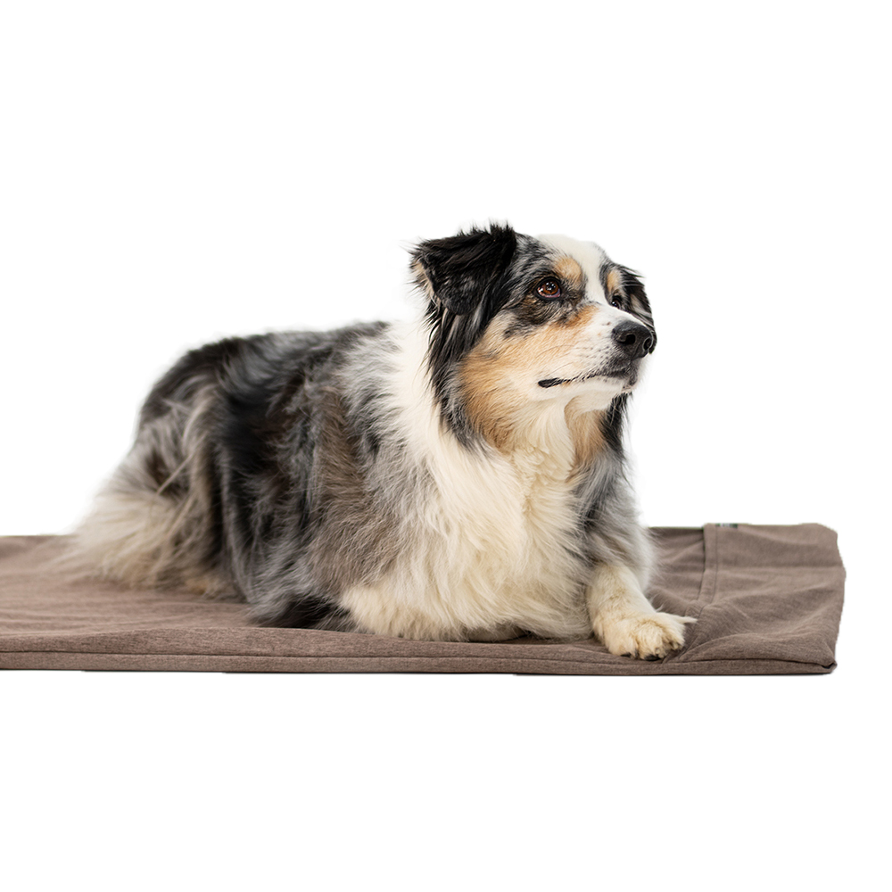 Hund, Hunde Bett, Tiermatte, Liegedecke, Hunde-Futterunterlage