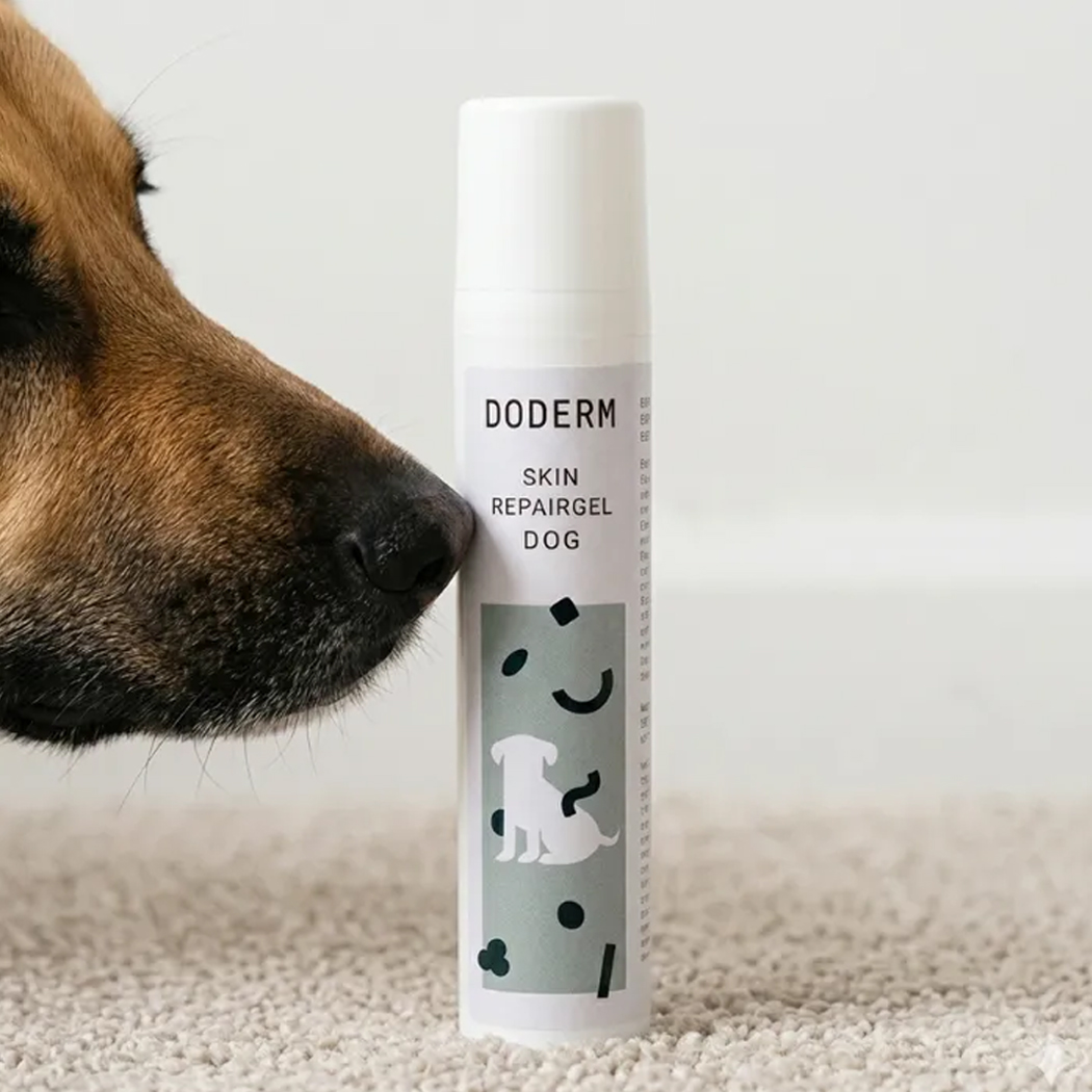 Hundehalsband?, Hundehautpflege, Hundehautpflege, Tierprodukt, Hautregeneration