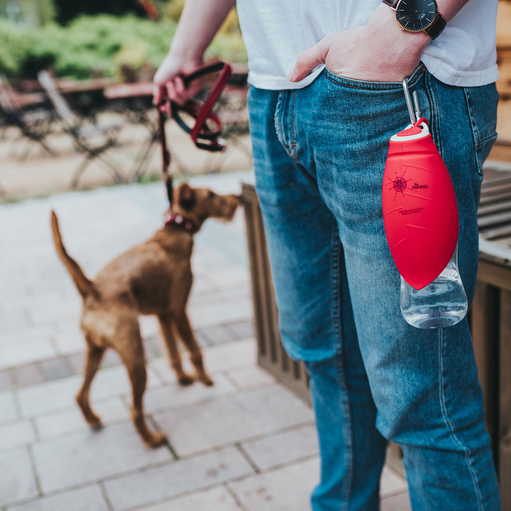 Wasserflasche, Ellbogendruck?, Hund, Leine, Tragbare Flasche