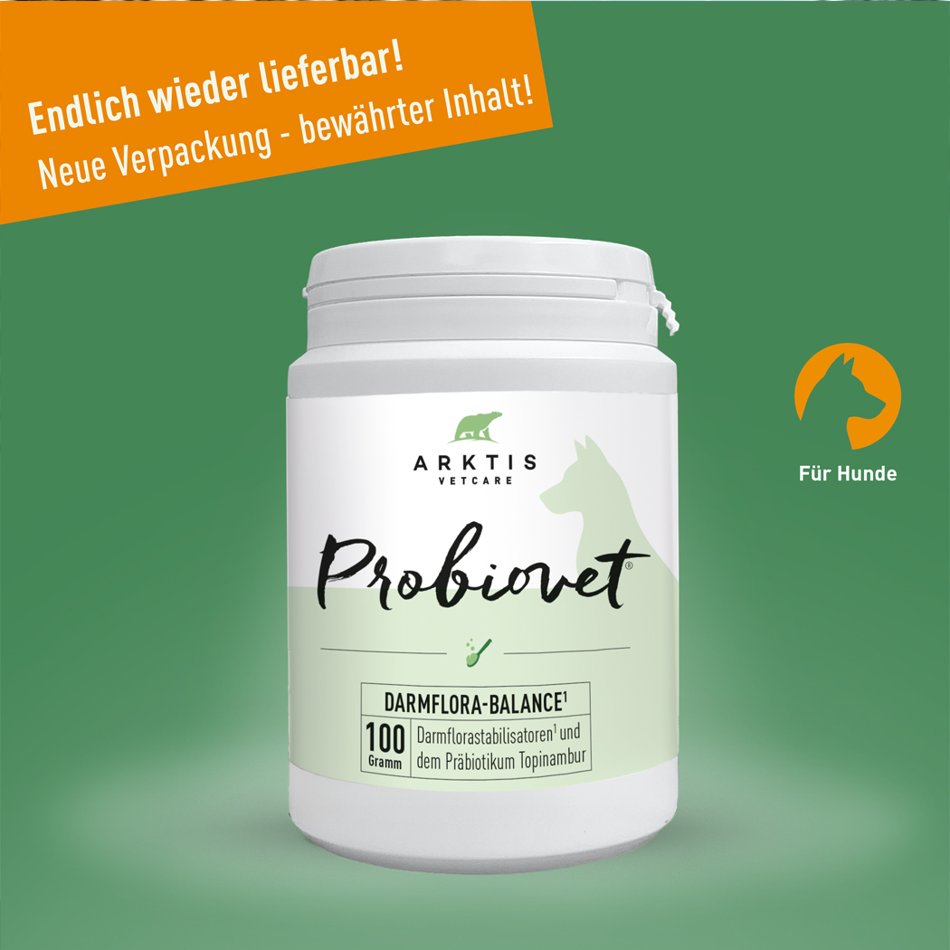 Probiotikum für Hunde, Darmflora-Ergänzung, Pulver, 100 Gramm, Kunststoffdose