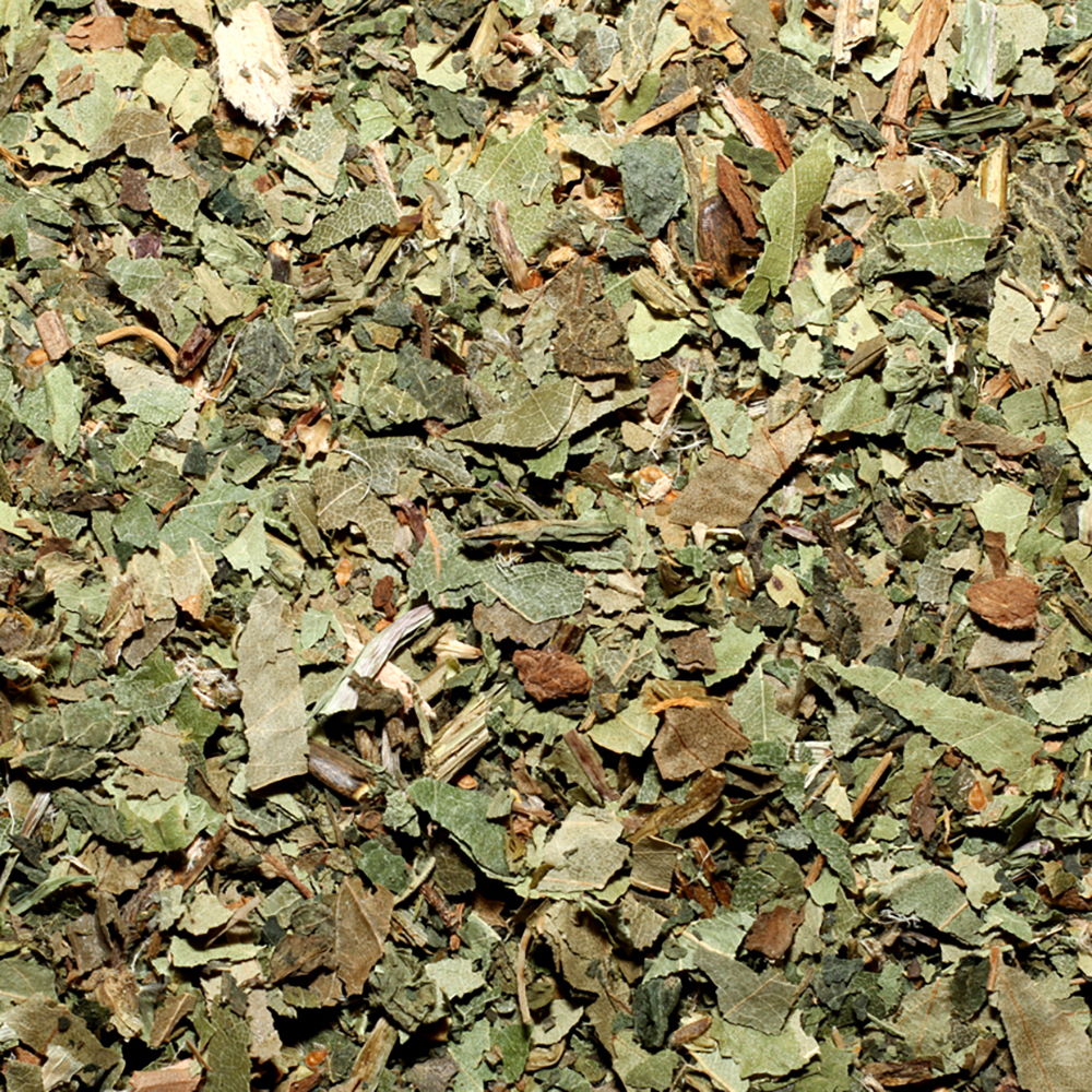 Blatt, Pflanze, Schiefer, Boden