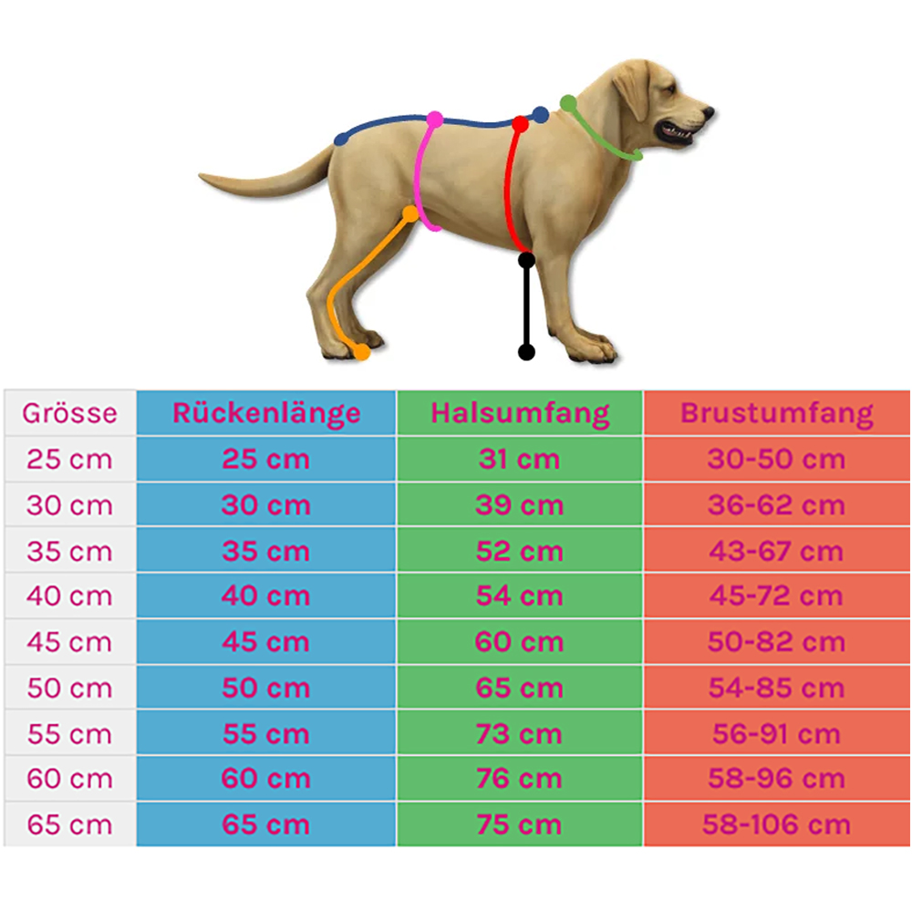 Diagramm, Handlung, Hund, Säugetier, Haustier