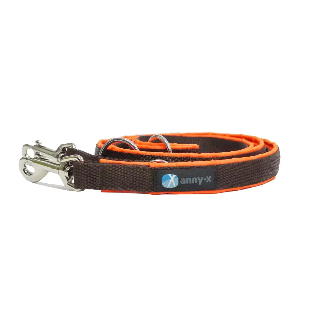 halsband, hund, kette, orange, nylon