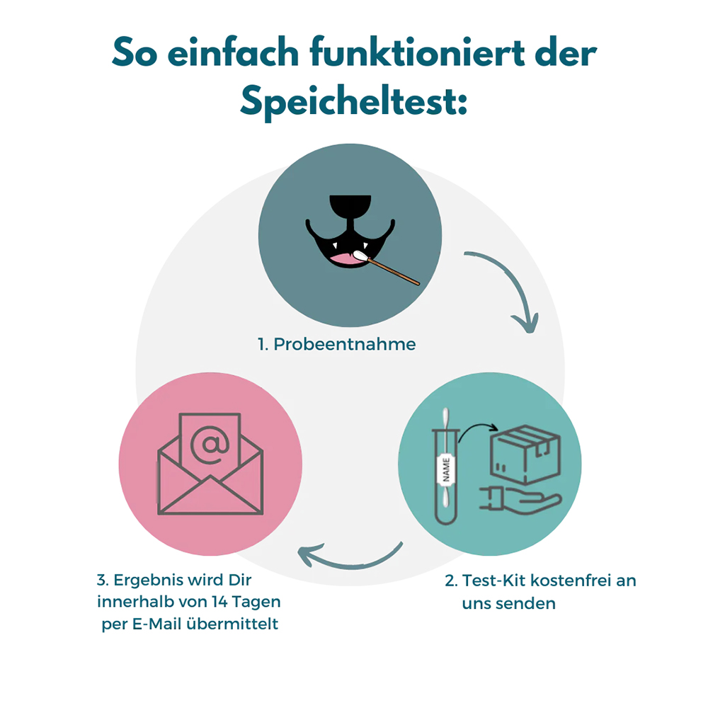 Speicheltest, Testkit, Laborkit, Schnelltest, Probeenzahn