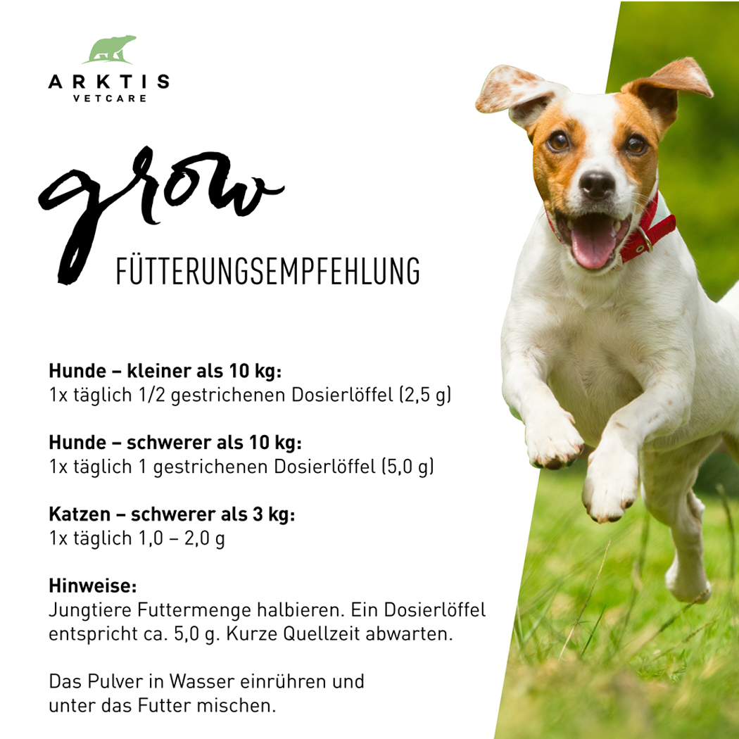 futterempfehlung, hunde futter, futter dosierlöffel, hund, katzen