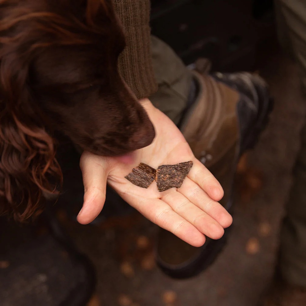 Keramiksplitter, Fragment, Bruchstücke, Hand, Rucksack?