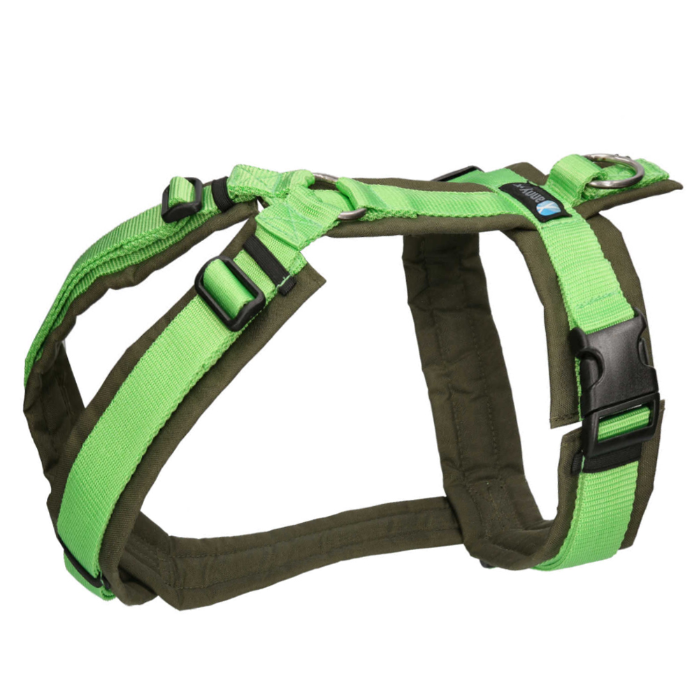 Hundegeschirr, Gurtsystem, Neon-Grün, Kunststoffschnallen, Verstellbare Straps