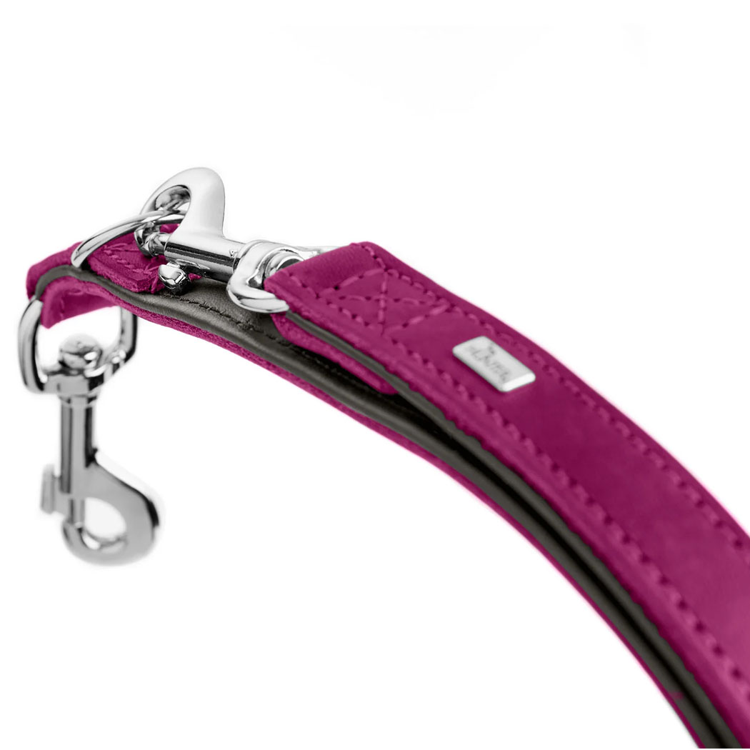 pink, Leder, Gurt, Beschlag, Verschluss