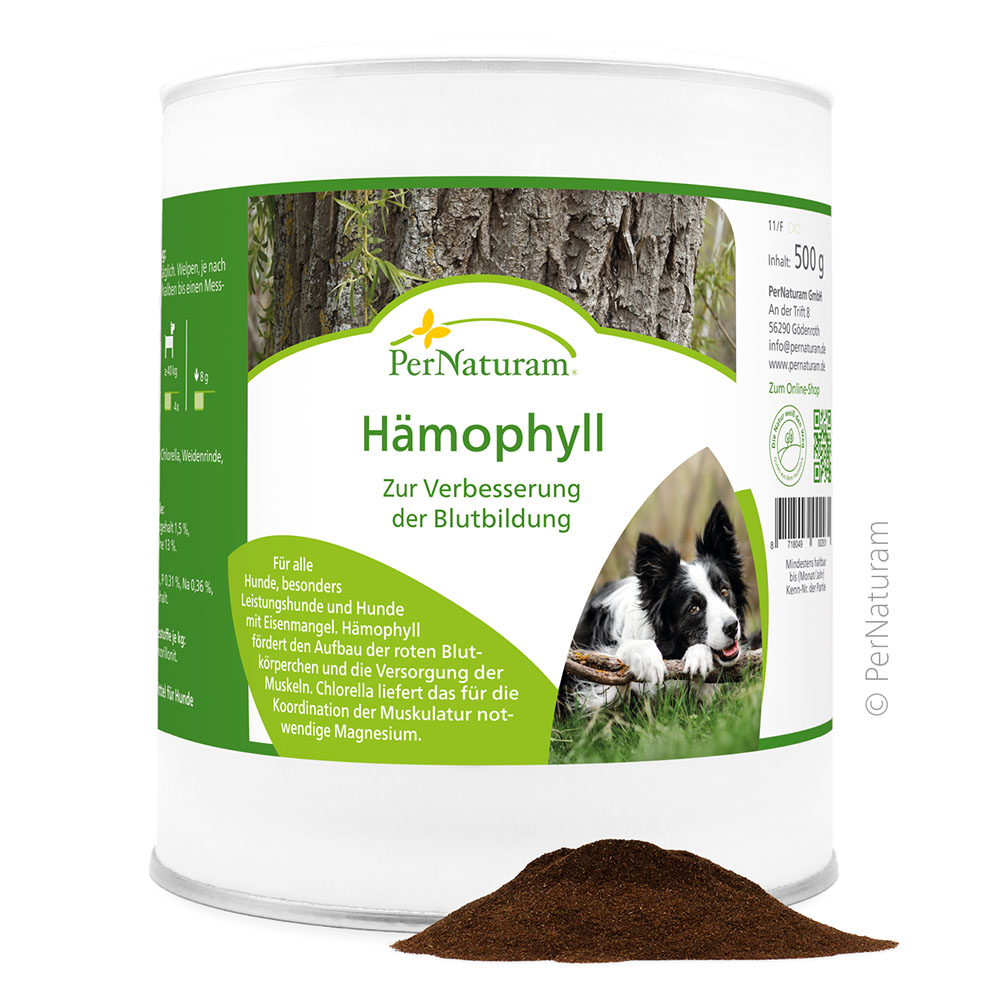 Hämophyll, Nahrungsergänzung, Hunde, Magnesium, Blutbildung