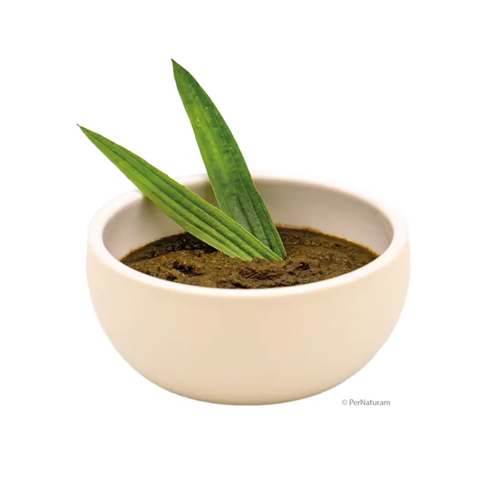 Blatt, Pflanze, Boden