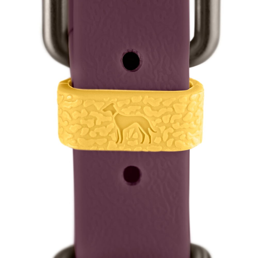 giraffe, ring, gelb, Schiene, Schmuckband