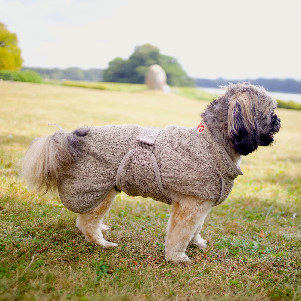 Gras, Hund, Mantel, Pullover