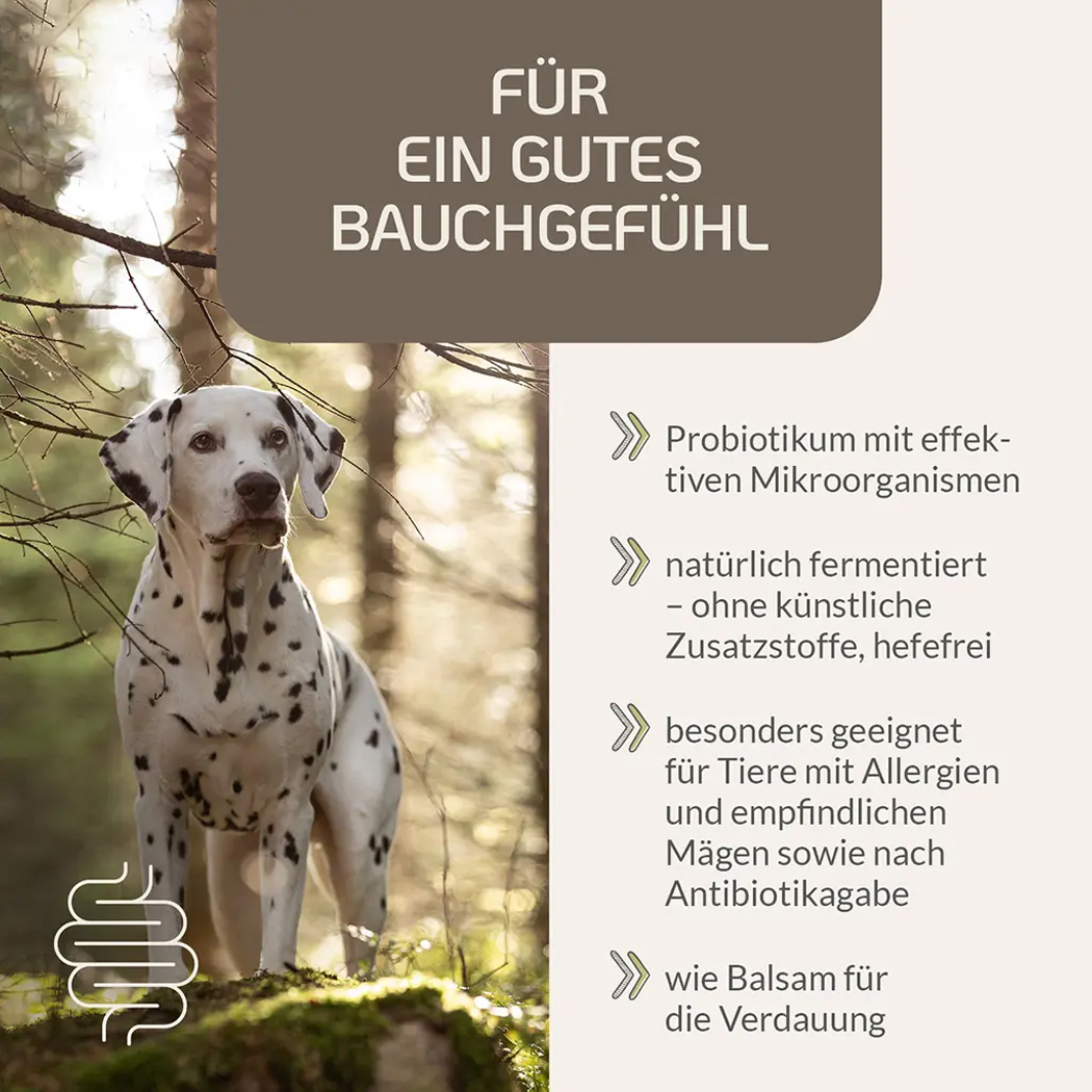Tier-Probiotikum, Darmgesundheit, Fermentiert, Hefefrei, Für Hunde