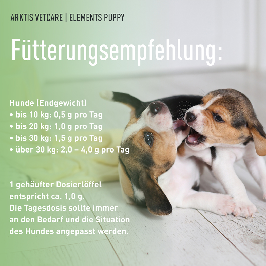 Hund, Hunde-Futter, Futterempfehlung, Endgewicht, Dosierlöffel