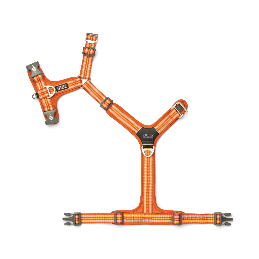 halsband, harnisch, orange, verstellbar, reflektiv