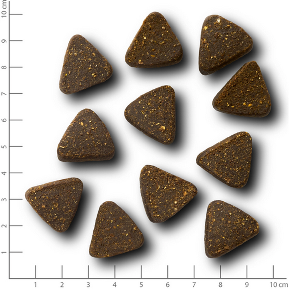 Hundefutter, Trockenfutter, Dreieckige Kroketten, Braun, Körnige Struktur