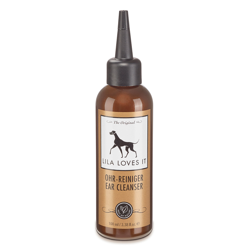 Flasche, Hund, Säugetier, Haustier