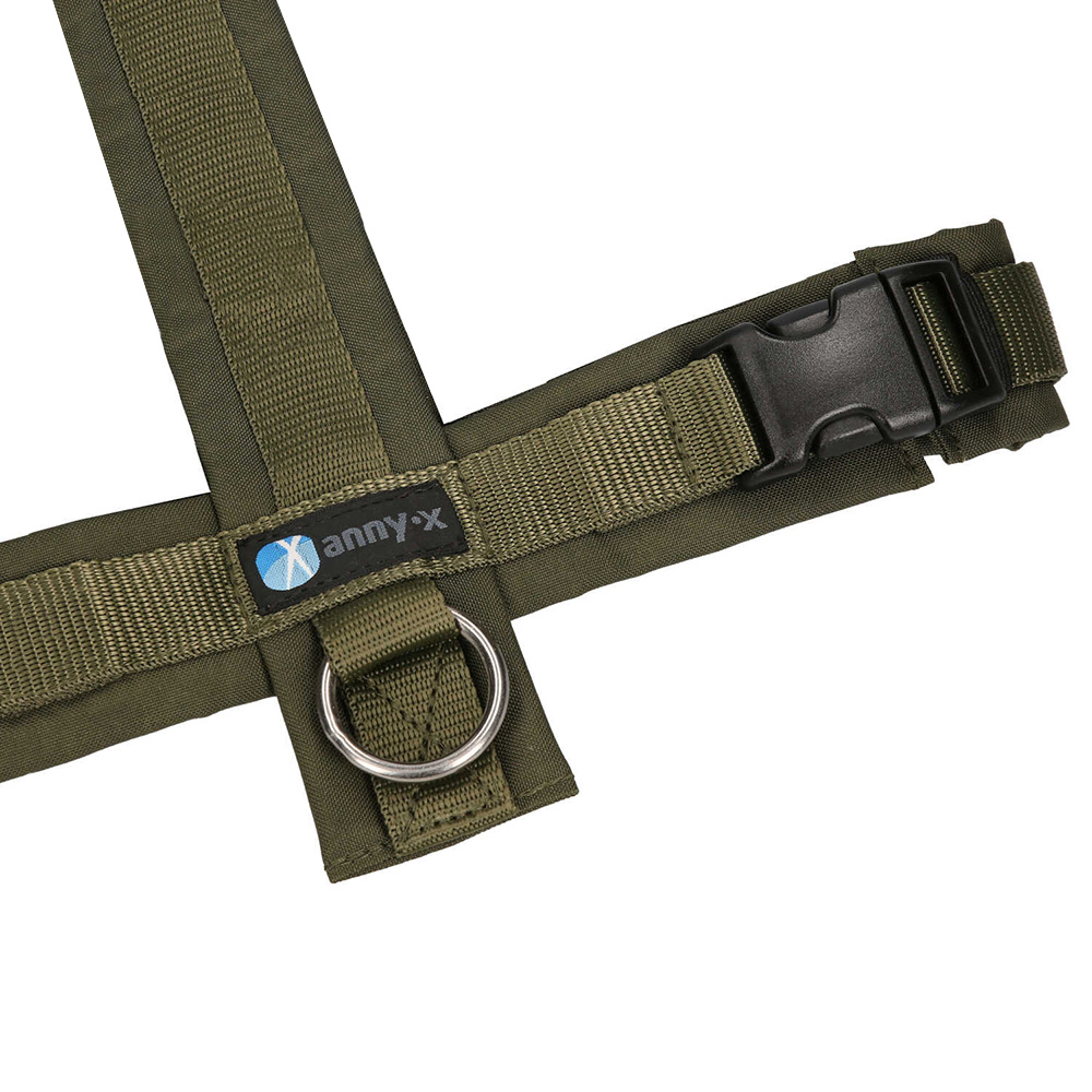 Halterung, Strap, Gurt, D-Ring, Schnalle