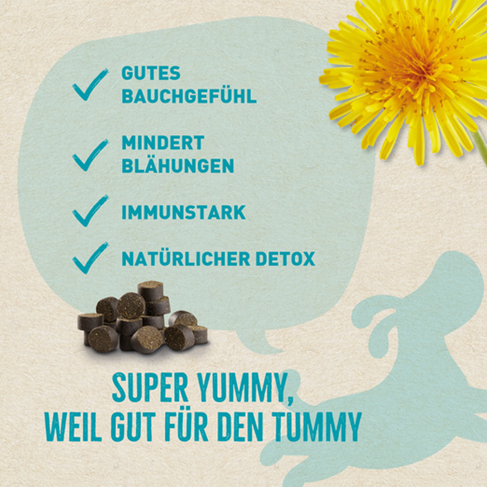 Werbung, Plakat, Kräuter, Pflanze, Blume