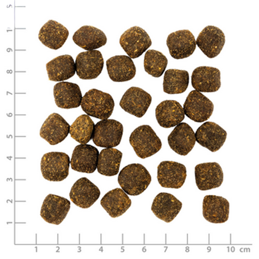 Kroketten, Tierfutter, Trockenfutter, Hundekroketten, Kleine Pellets