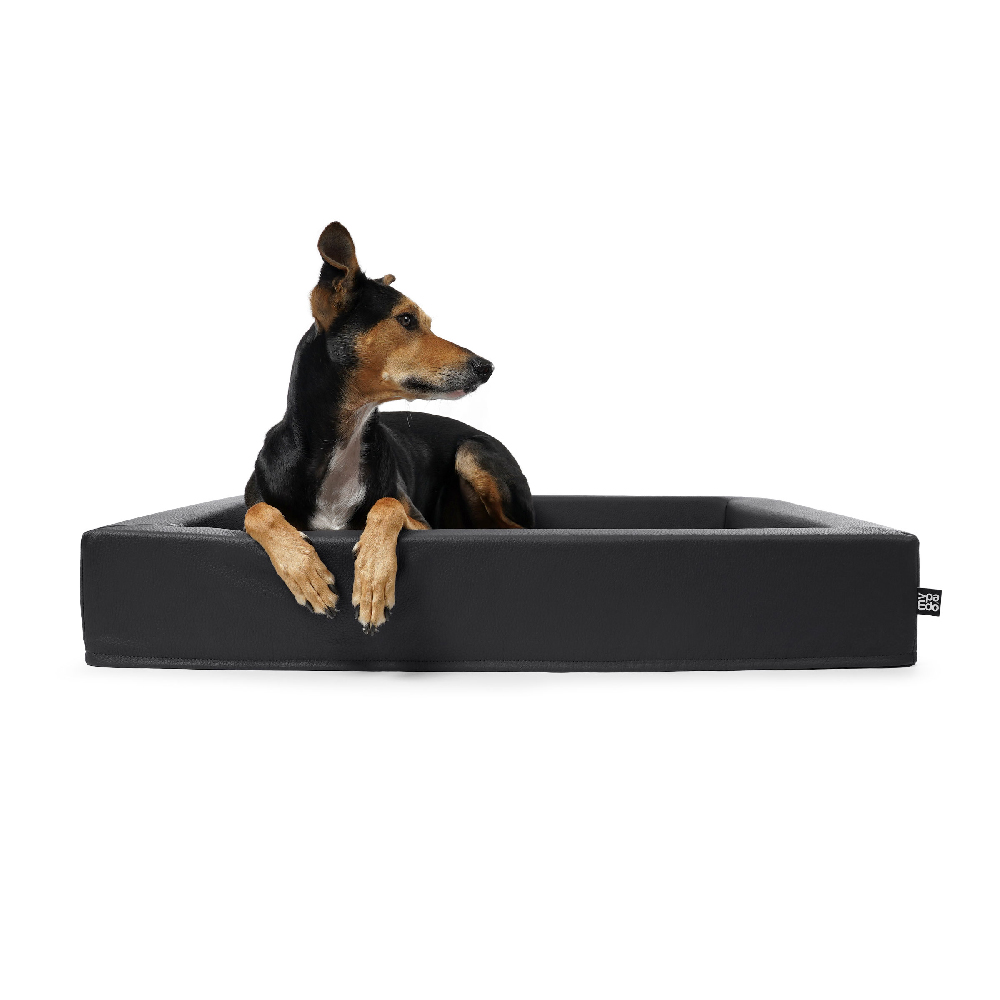 Hundebett Harko Kunstleder Premium mit viskoelastischem Schaumstoff schwarz - Div. Grössen Hundebett Harko Kunstleder Premium mit viskoelastischem Schaumstoff schwarz - Div. Grössen