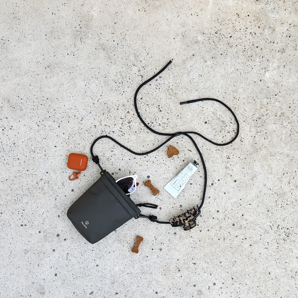 handbag, brille, laufschuh?, ?