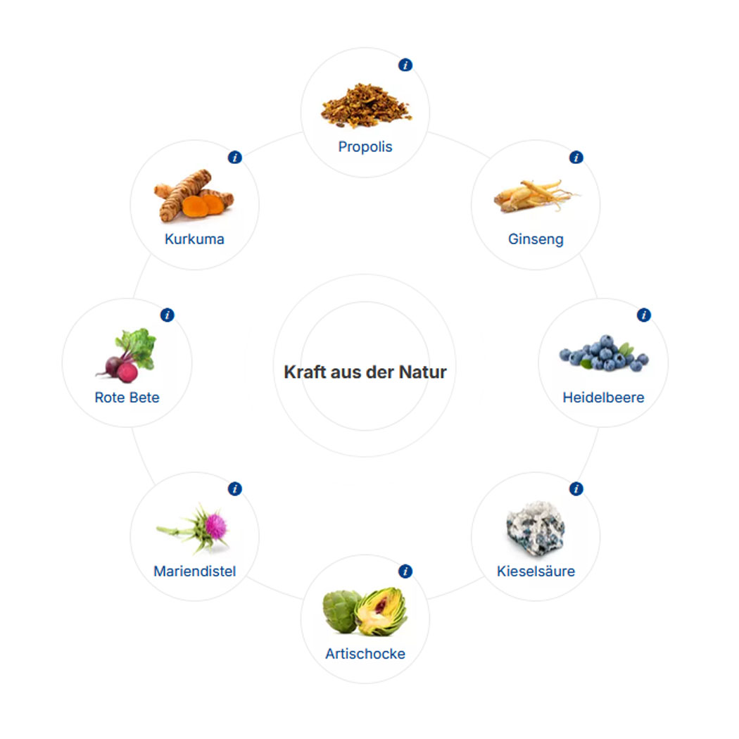 Propolis, Kurkuma, Ginseng, Rote Bete, Artischocke