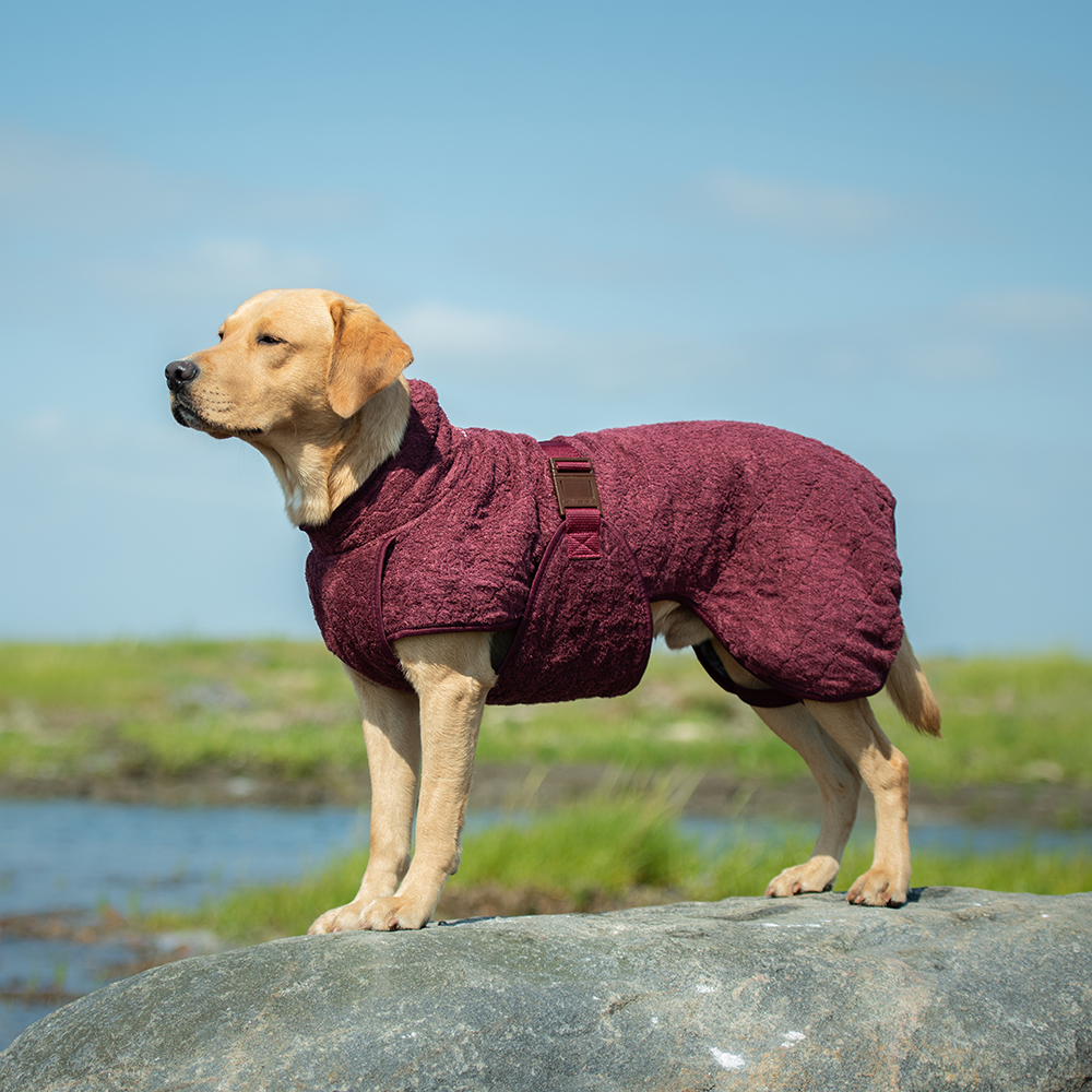 Hundemantel, Hundejacke, Burgunderrot, Kuscheldecke?