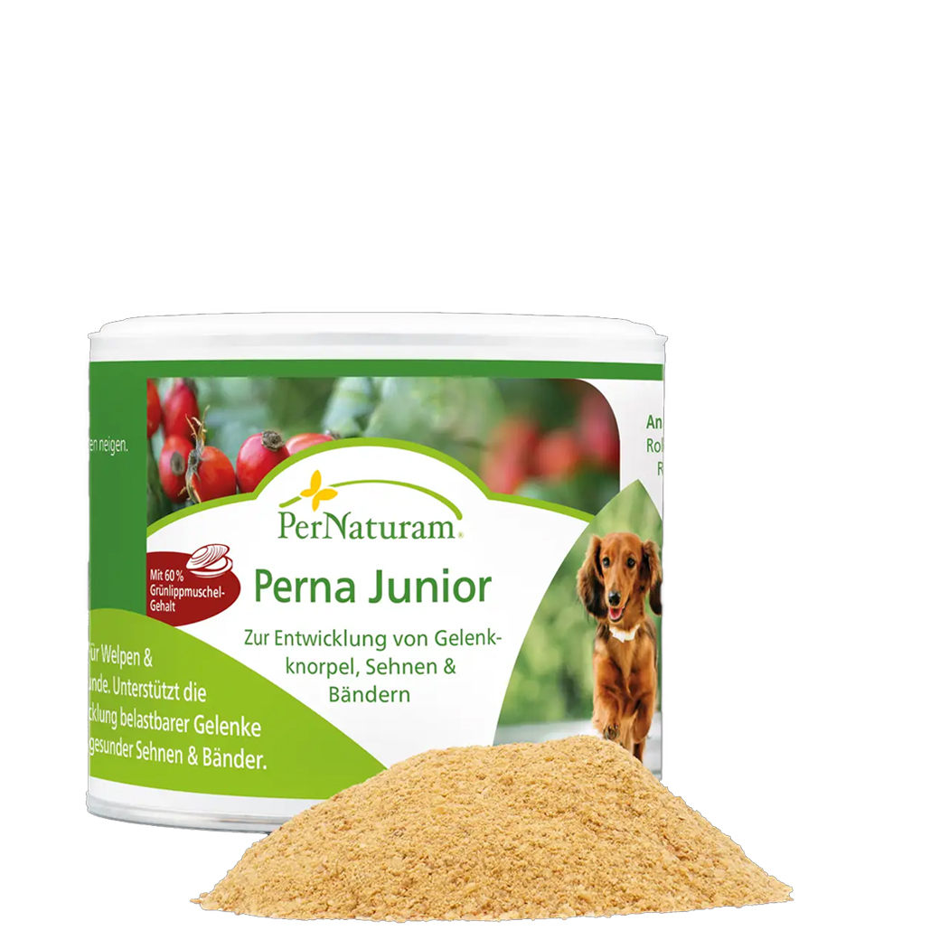 Hundefutter, Pulvermattel, PerNaturam, Perna Junior, Kampagne?