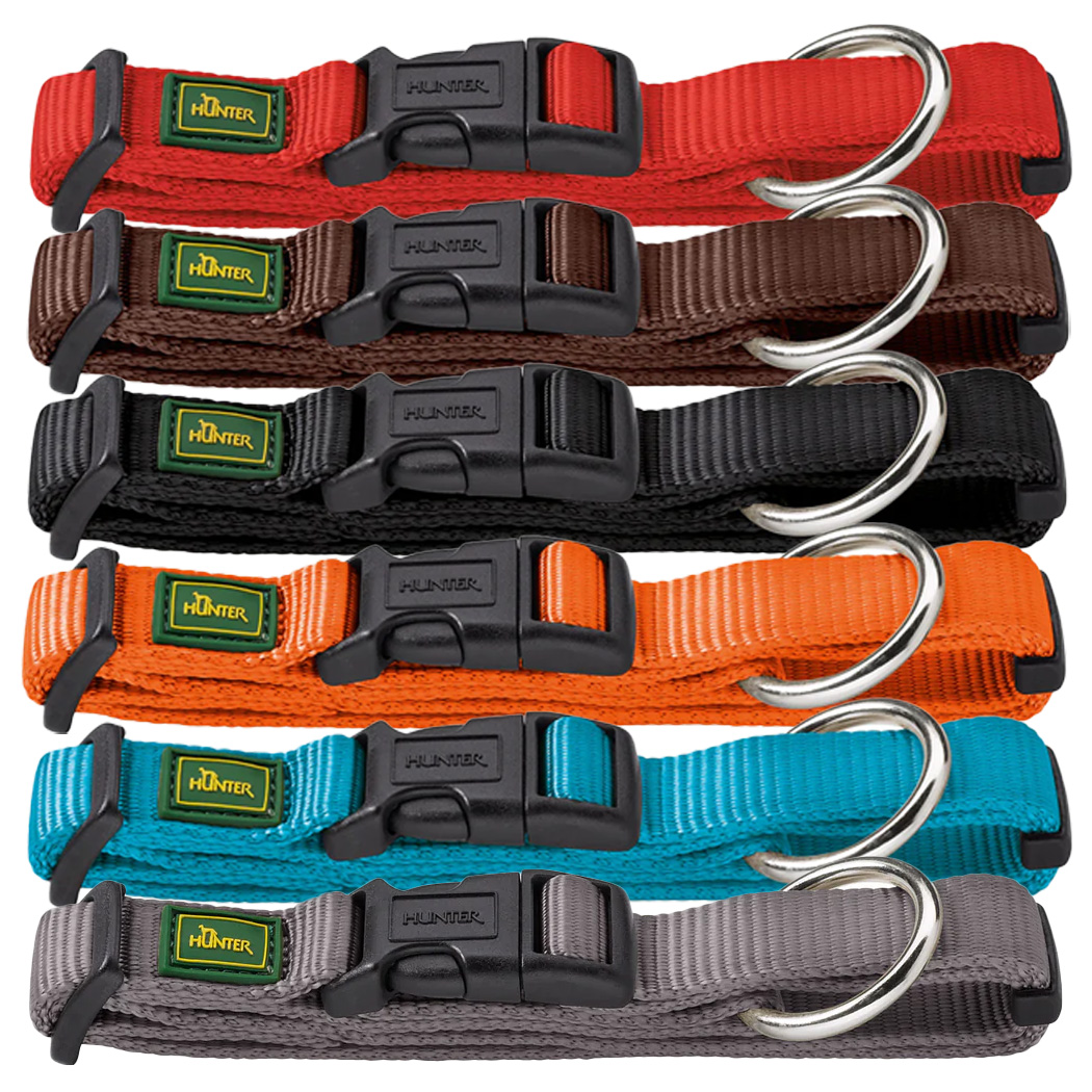 Collar, Hundehalsband, verstellbar, Metallring, mehrfarbig