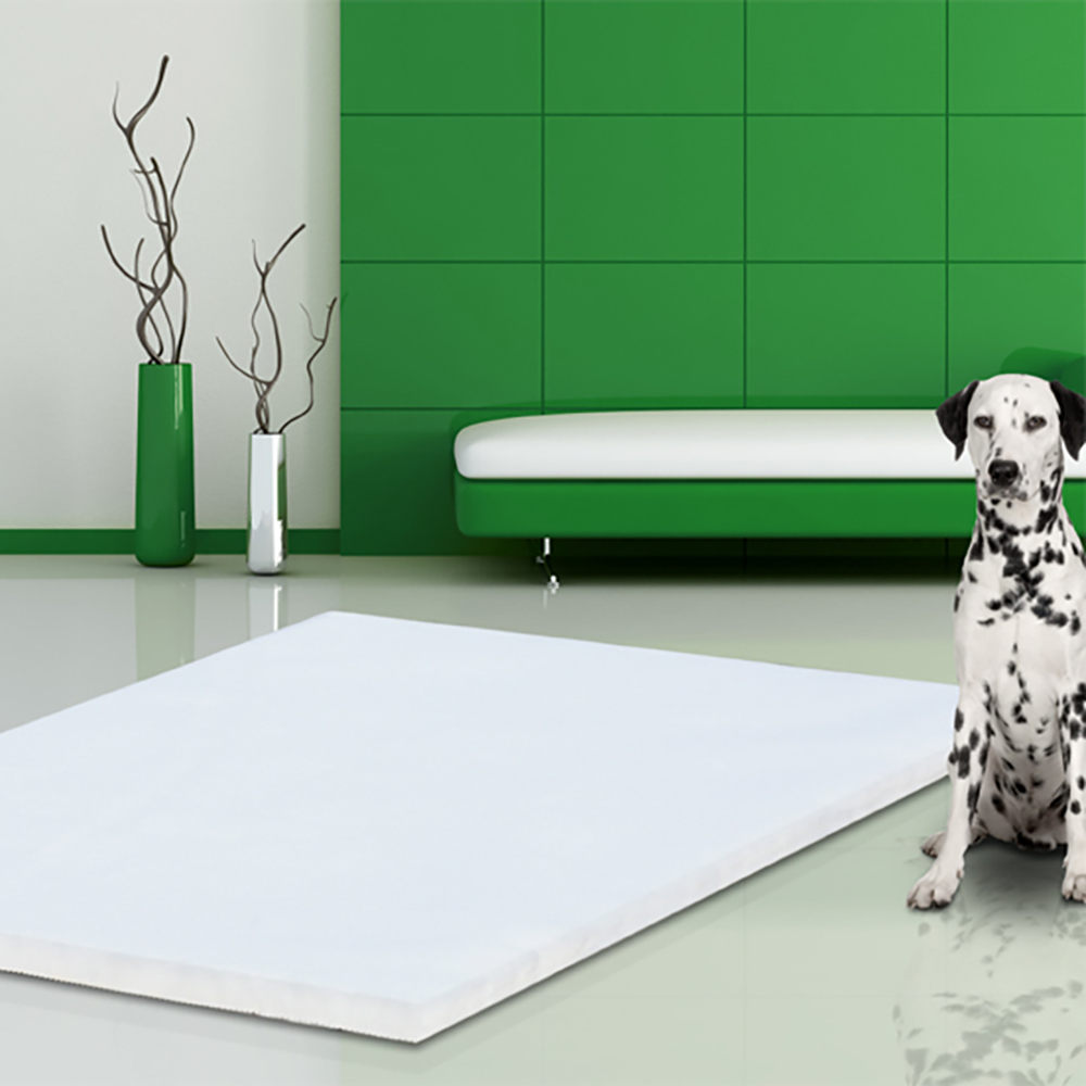 Tier, Hund, Säugetier, Haustier