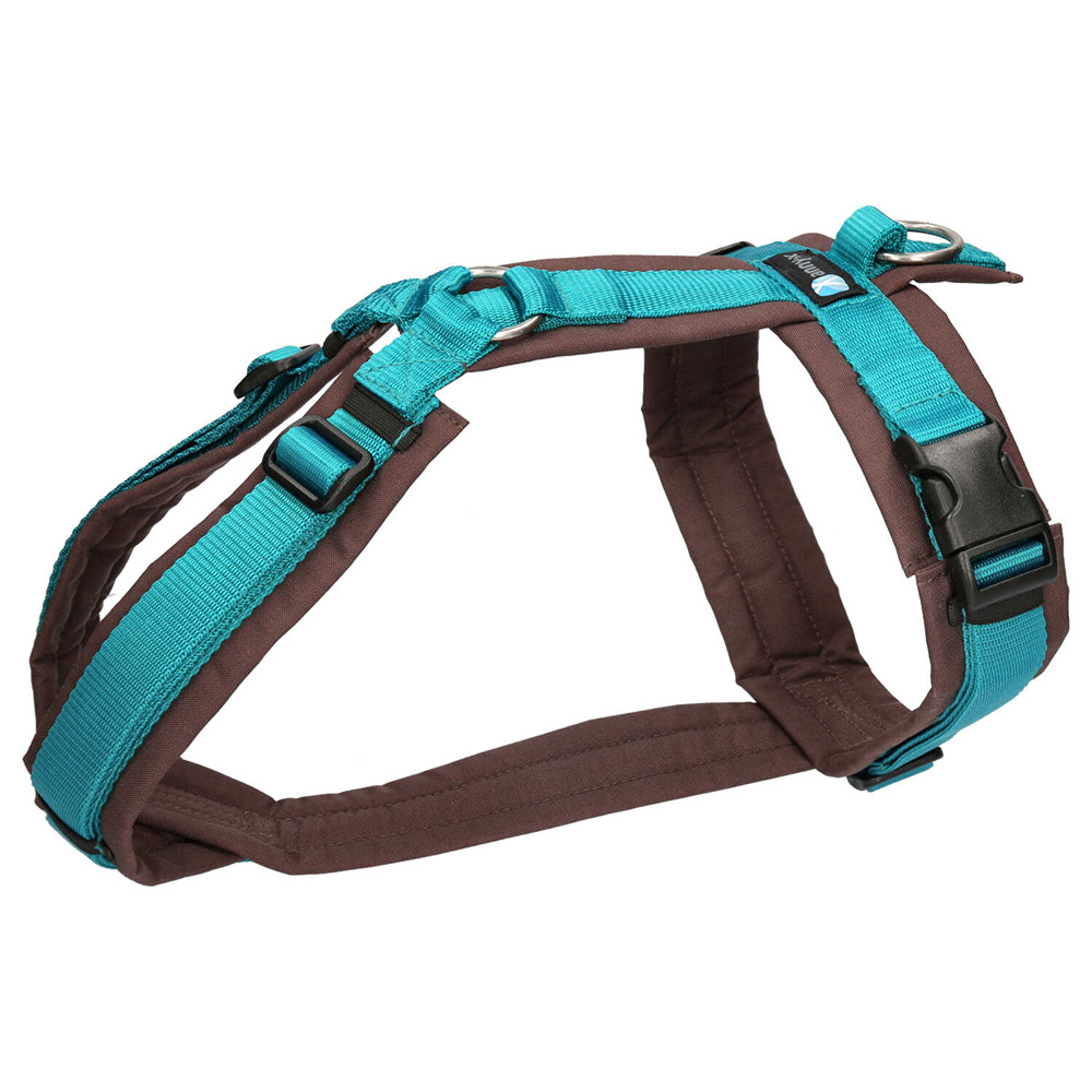 Halsband, Hundegeschirr, Brustgeschirr, Polyester, braun-türkis