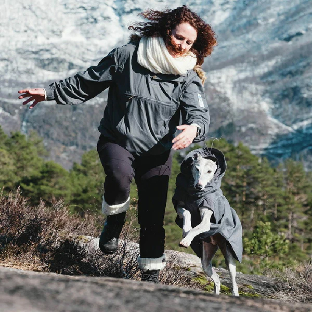 Erwachsener, Weiblich, Person, Frau, Hund