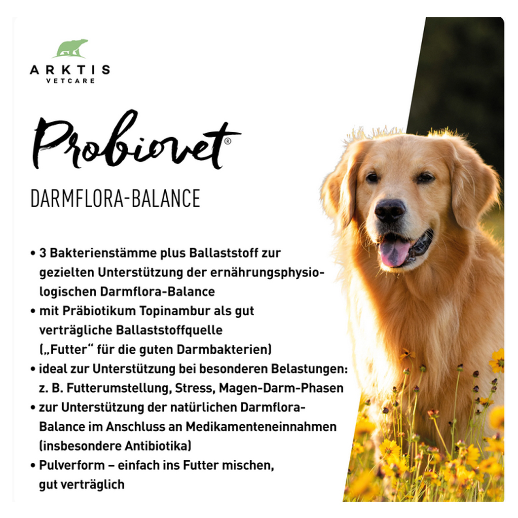 Darmspeise, Hundefutter, Ballaststoff, Probiotikum, Pulverform