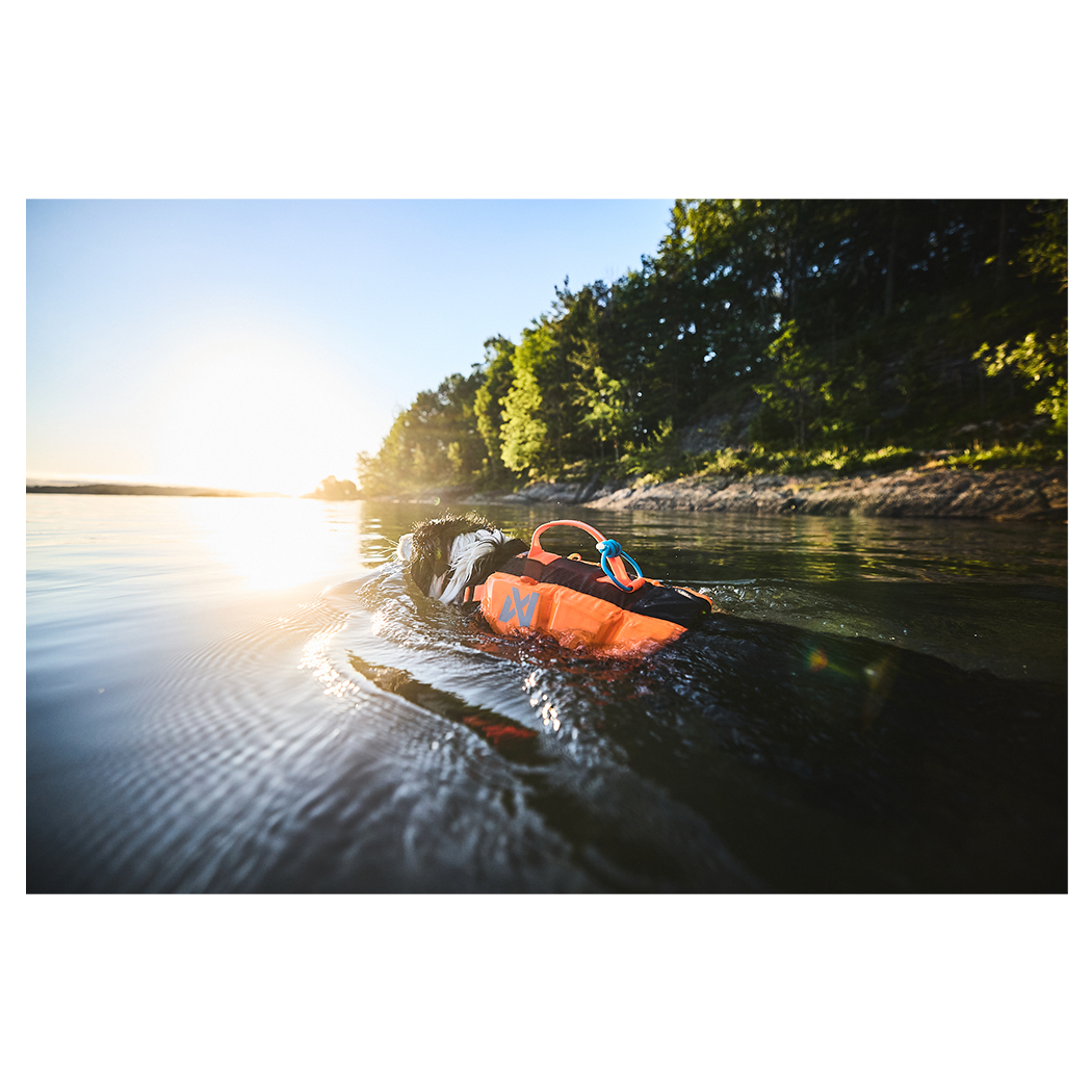 Rettungsweste, Schwimmweste, Orange, Schwimmen, Wassersport
