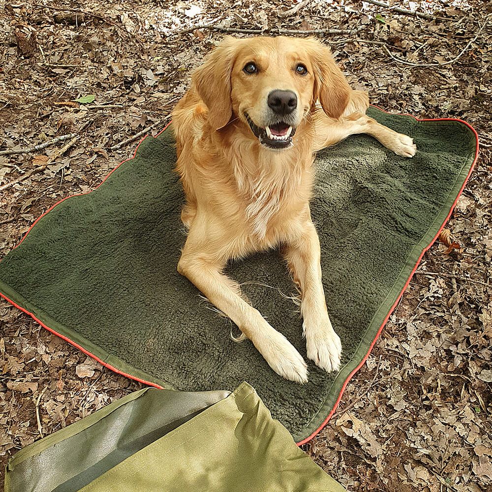 Hund, Golden Retriever, Haustier-Matte, Outdoor, Teppich