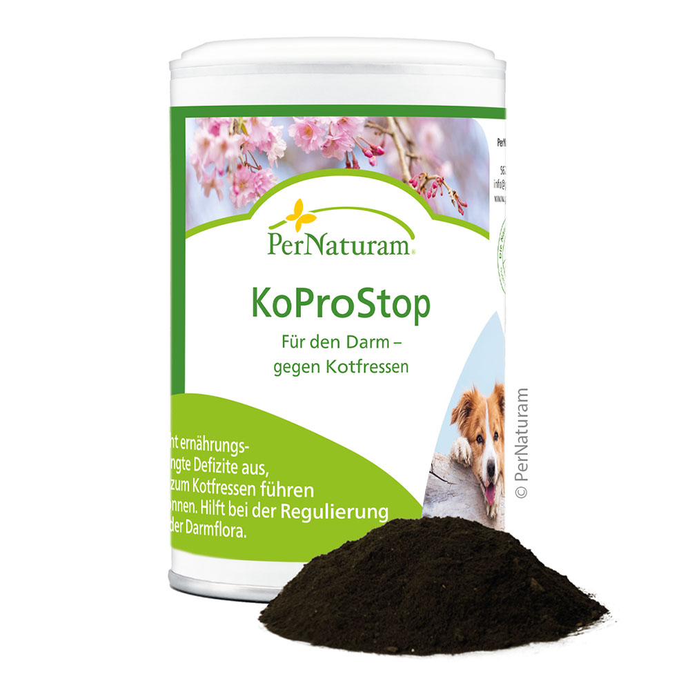 Darmkur, Kotfressen, KoProStop, PerNaturam, Darmflora Unterstützung