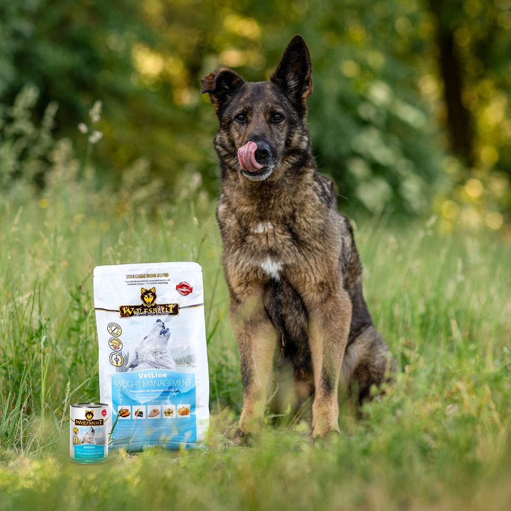 Wolfsblut Vetline Trockenfutter Weight Management 2kg u. 12kg - Übergewicht u. Diabetes - Truthahn