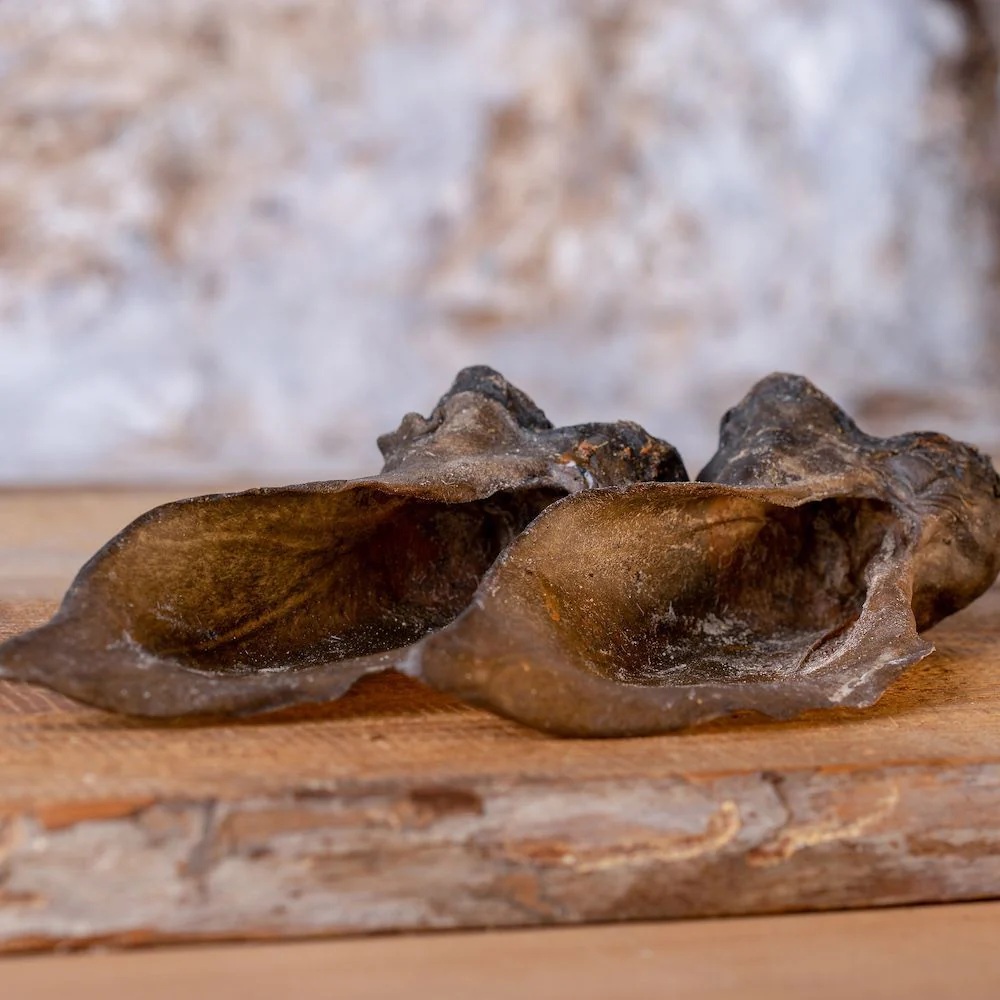 Barfgold Hirschohren 2 Stück im Beutel Holz