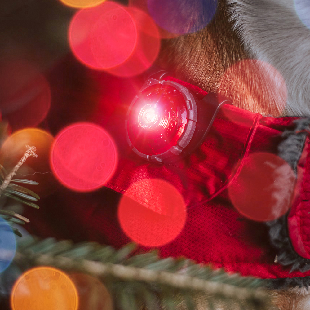 Beleuchtung, Aufflackern, Licht, Zubehör