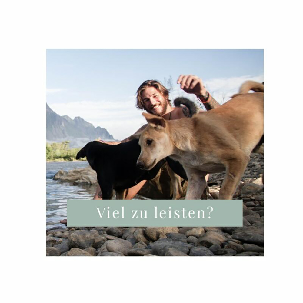 dogs, hundfreundlich, strand, felsen, textüberlagerung