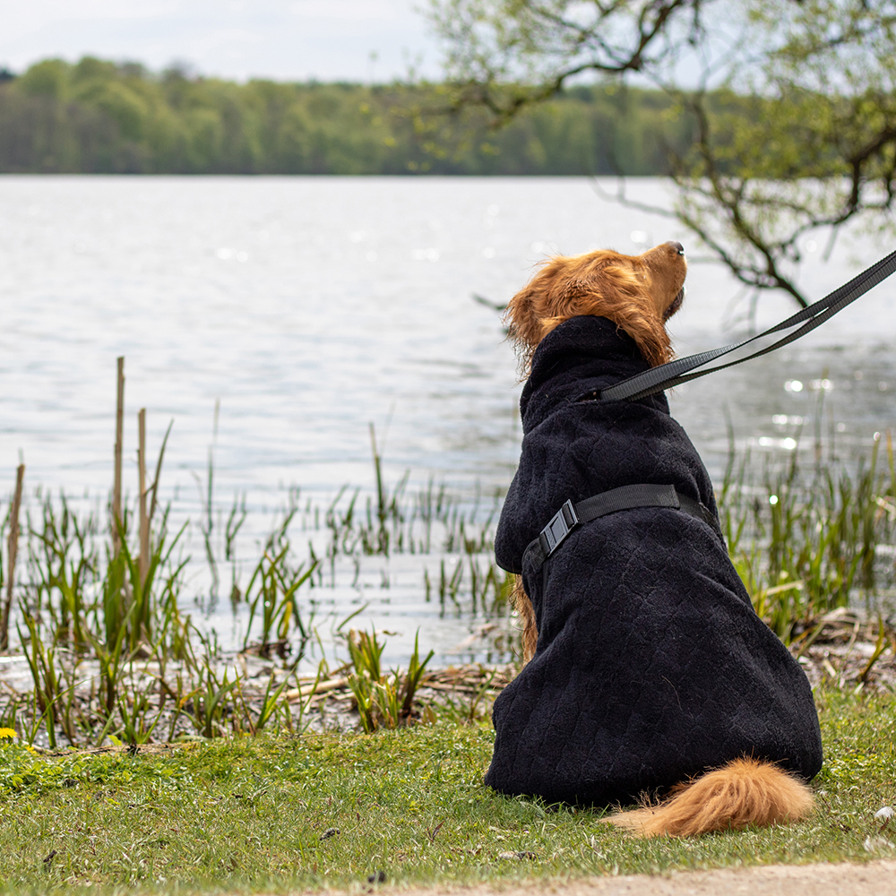 Siccaro Hundebademantel Solution 50 - L - Jetblack