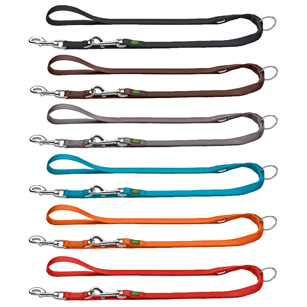 Leine, Hundeleine, bunte Leine, Nylonriemen, Clip-Ende