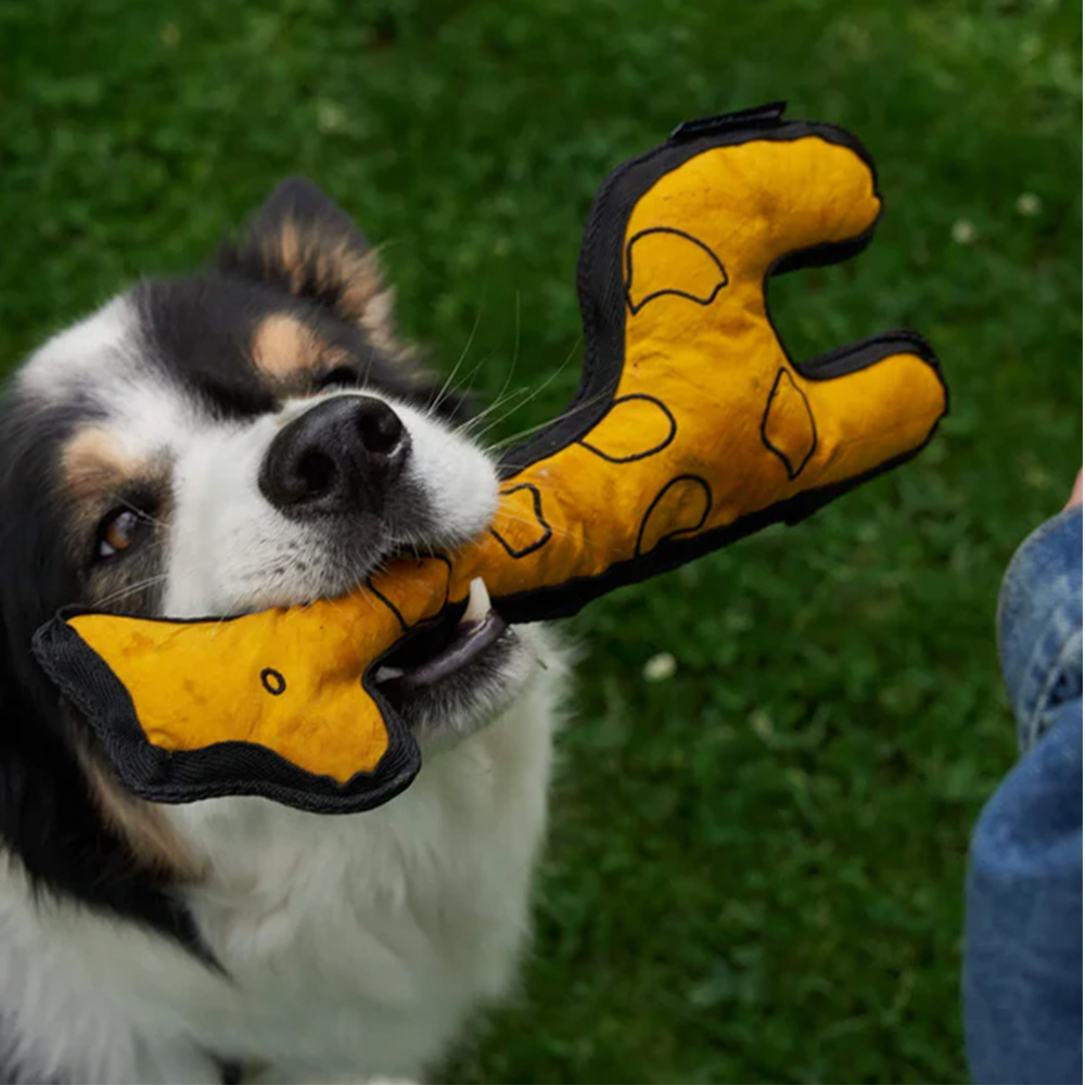 Hundespielzeug, Kauspielzeug, Giraffenform, Gelb, Plüsch