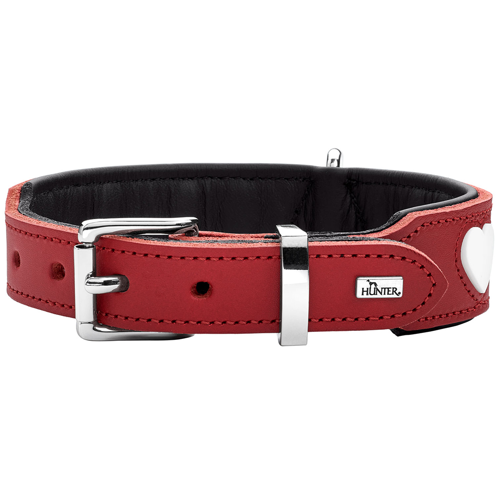 halsband, leder, rot, herz-akzent, verstellbar