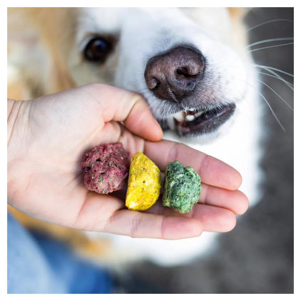 Hund, Knochenfutter, Krokant, Leckerli, Tiernahrung