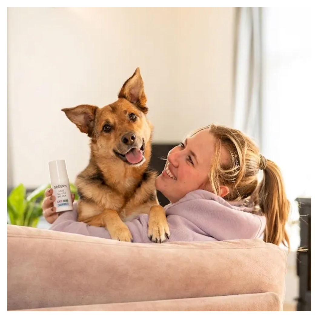 Hund, Welpe, Pflegeprodukt, Lotion?, Haustierpfleger